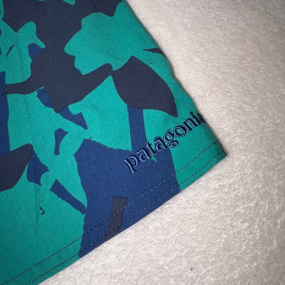 Patagonia dive into
